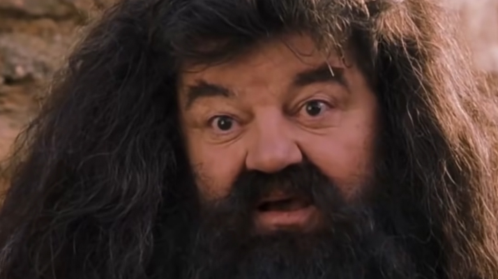 Décès de Robbie Coltrane, célèbre Hagrid dans la saga à succès d’Harry Potter