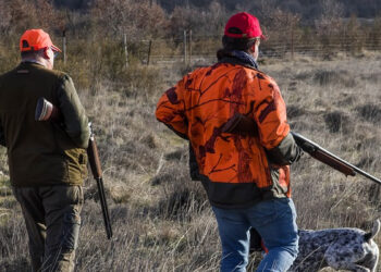 Loire-Atlantique. Une balle de chasse traverse la fenêtre de cuisine et frôle un bébé de 11 mois
