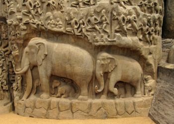 éléphants