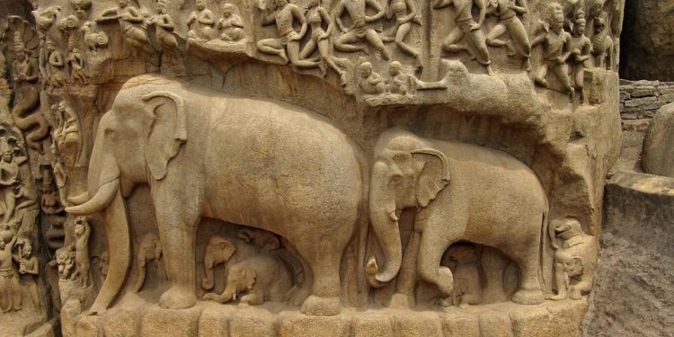 éléphants