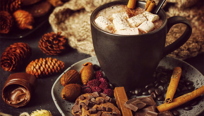 Les Délices Chocolatés de Noël : Une Tradition Gourmande à Travers les Siècles