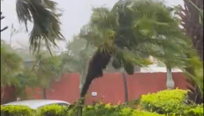Passage du Cyclone Belal à la Réunion : Des vents de plus de 200 km/h viennent frapper l&rsquo;île !