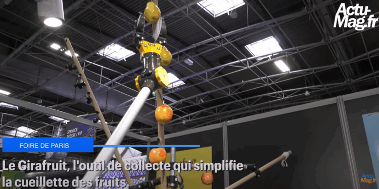 Foire de Paris 2025 : Le Girafruit, l&rsquo;outil qui simplifie la cueillette des fruits