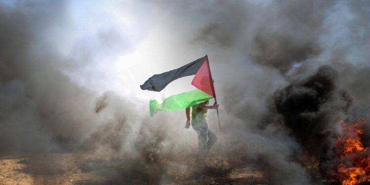 Les hôpitaux de Gaza « au bord de l’effondrement », alerte le directeur général de l’OMS