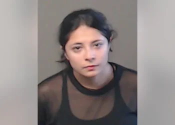 États-Unis : Une femme arrêtée après avoir jeté trois chatons d&rsquo;un véhicule en marche