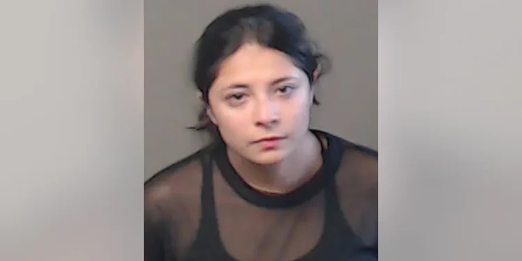 États-Unis : Une femme arrêtée après avoir jeté trois chatons d’un véhicule en marche